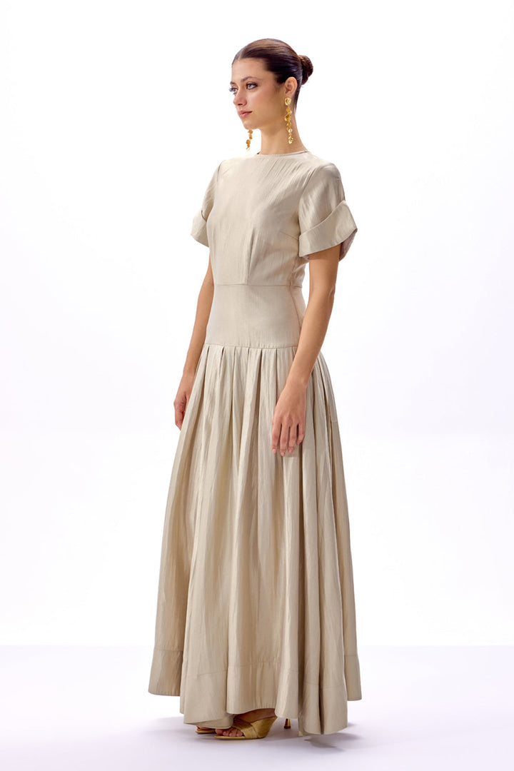 Moonlit Champagne Dress - ANI CLOTHING