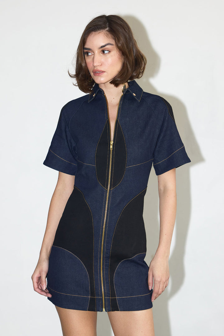 Zipped Dress - ANI CLOTHING