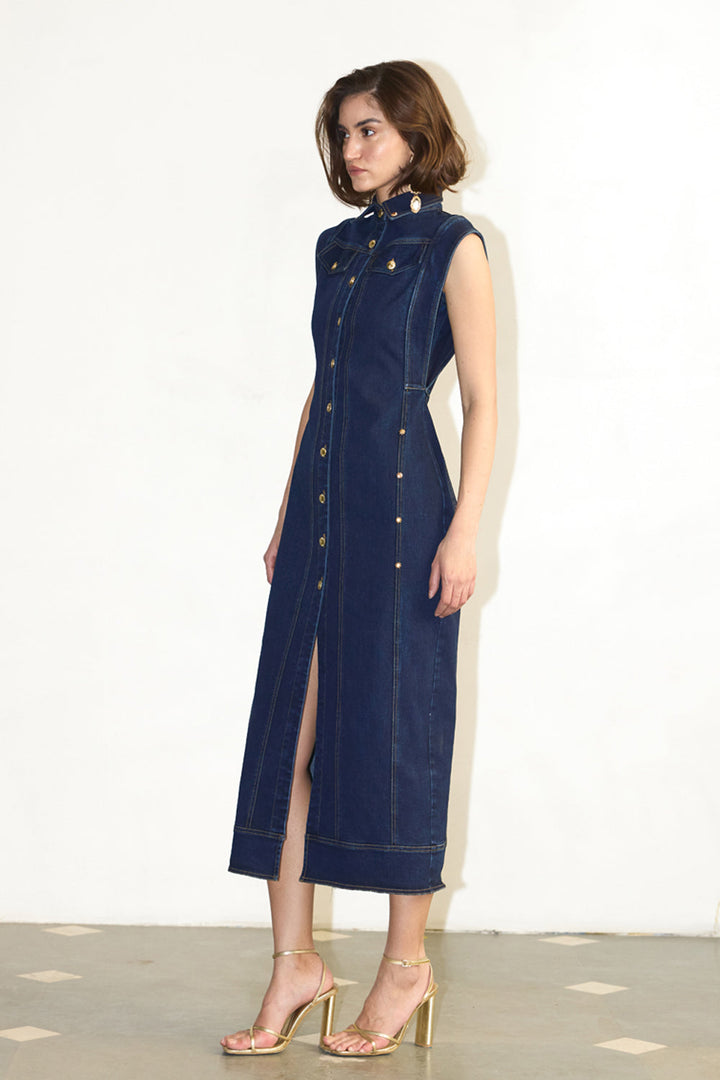 Ikuru Dress - ANI CLOTHING